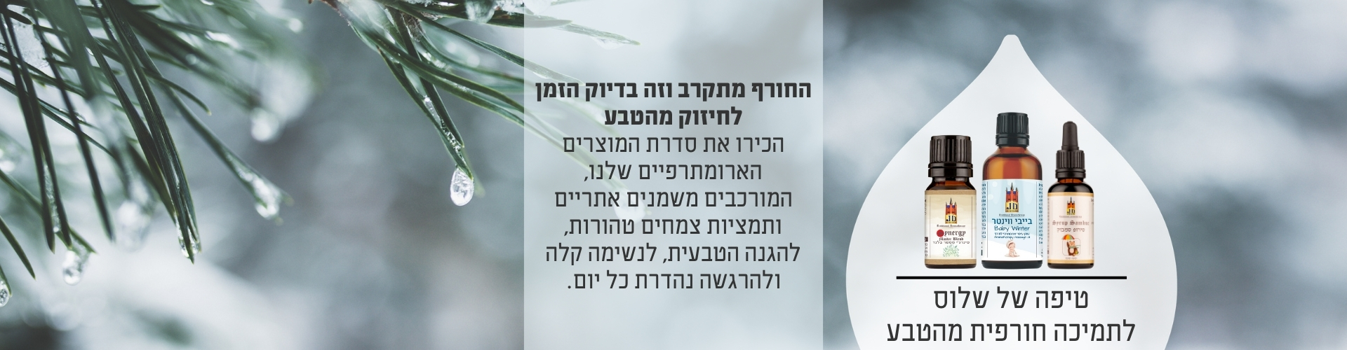 באנרים עמוד ראשי