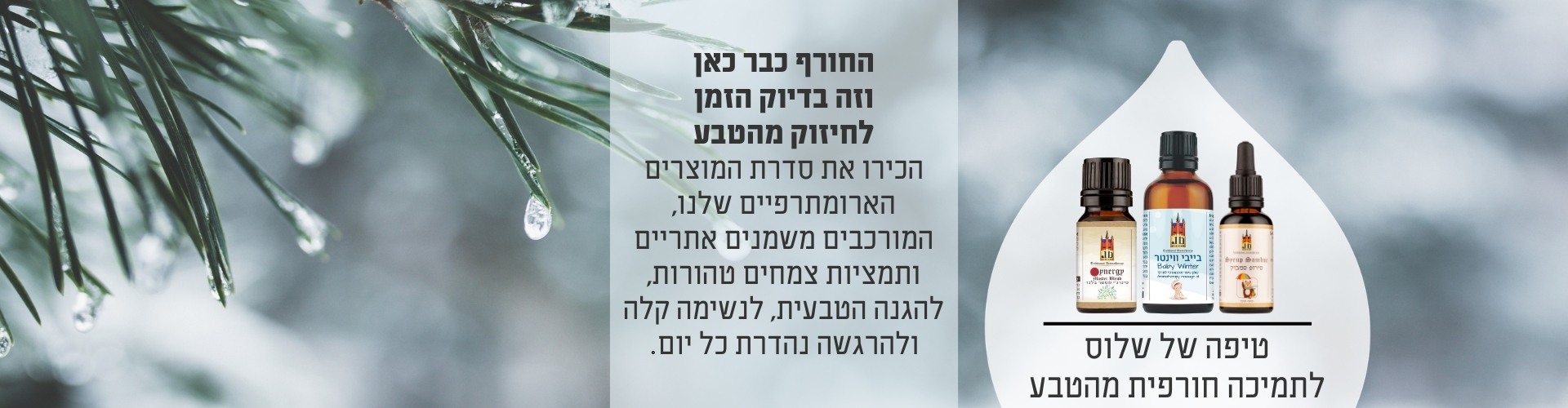 באנרים עמוד ראשי
